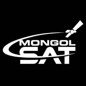 Mogolsat Network LLC