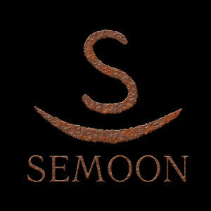 Semoon Studio LLC